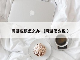 网游应该怎么办 （网游怎么说 ）