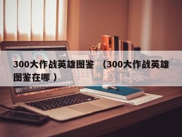 300大作战英雄图鉴 （300大作战英雄图鉴在哪 ）