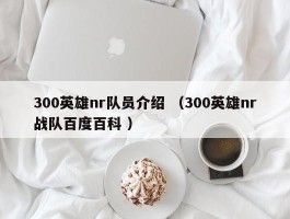 300英雄nr队员介绍 （300英雄nr战队百度百科 ）