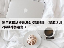 塞尔达操纵神兽怎么控制终端 （塞尔达dlc操纵神兽迷宫 ）