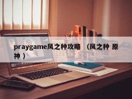 praygame风之种攻略 （风之种 原神 ）