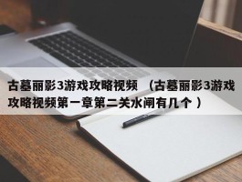 古墓丽影3游戏攻略视频 （古墓丽影3游戏攻略视频第一章第二关水闸有几个 ）